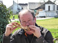 11 Cerisiers en fleurs dans l&#39;Ortenau Mösbach 10 04 2016 60